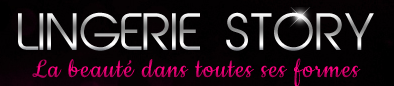 Logo www.lingerie-story.fr